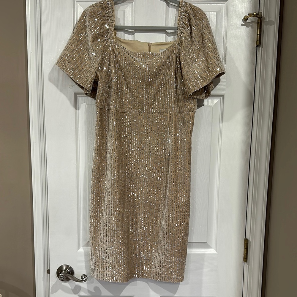 Elegant Sequin Dress in Champagne